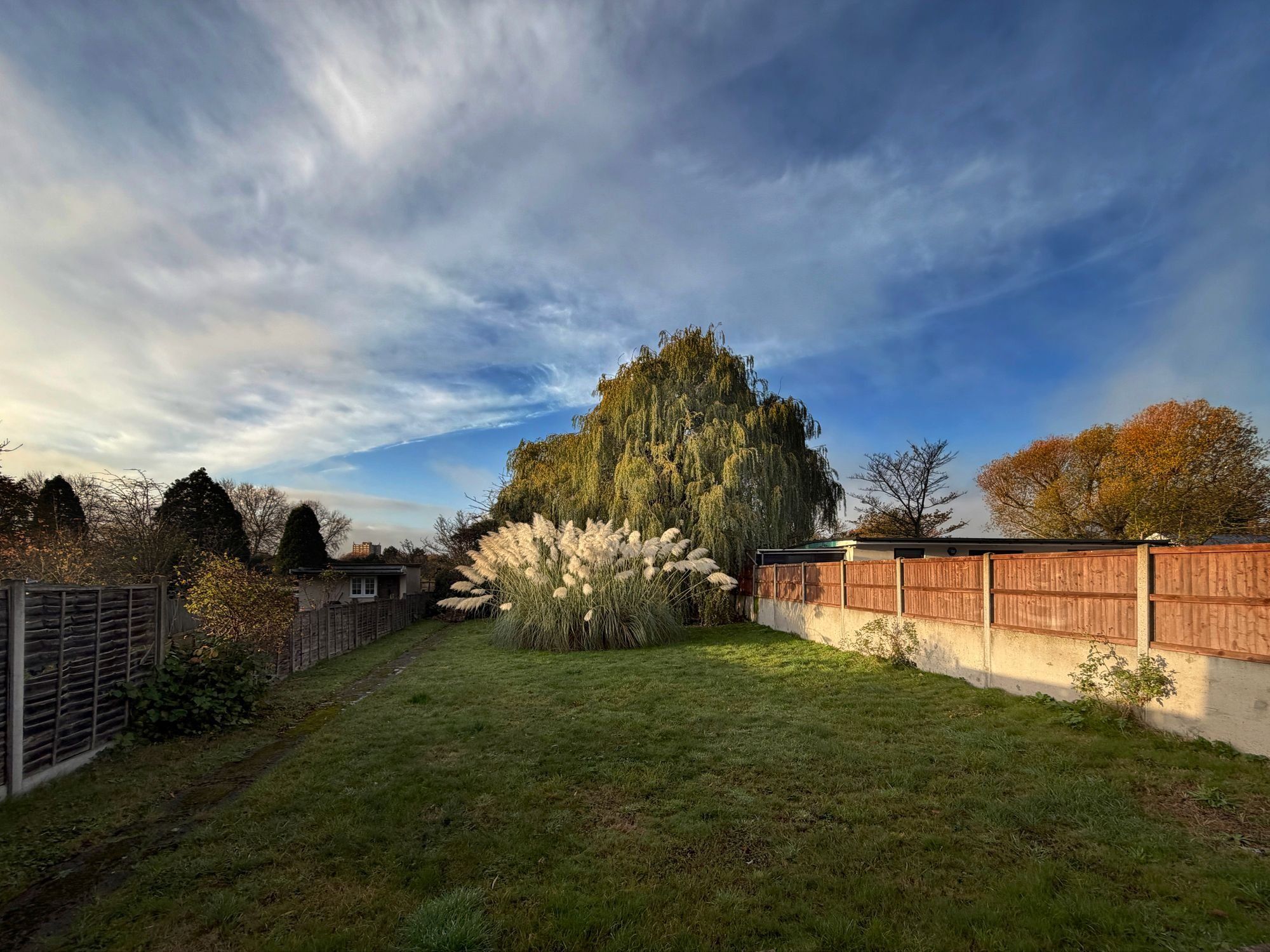 A long back garden lawn in low evening sun, with a new timber fence on a concrete base along one side, a large pampas grass and a weeping willow at the far end