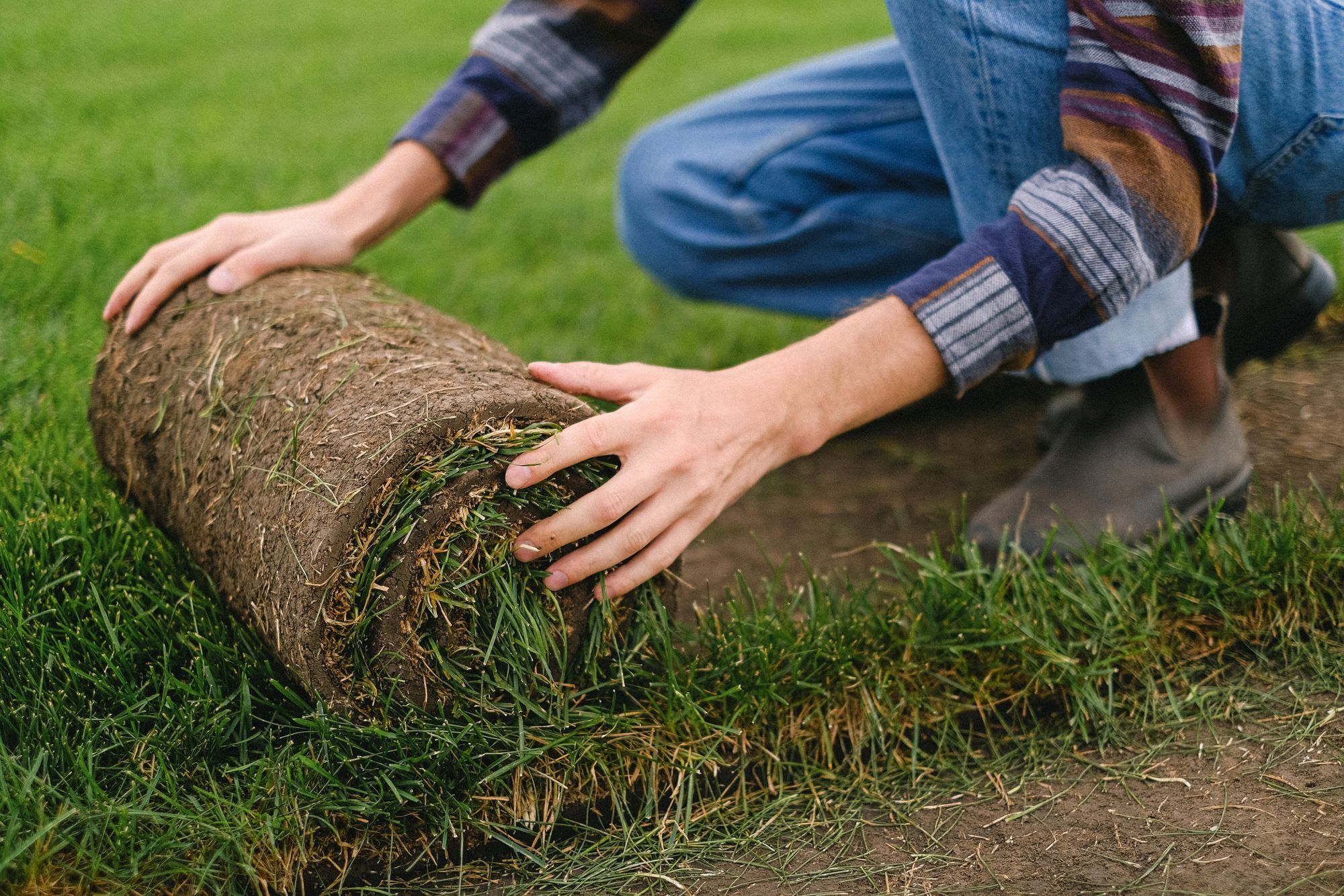 A person kneeling to unroll a roll of fresh turf onto prepared soil beside an established lawn