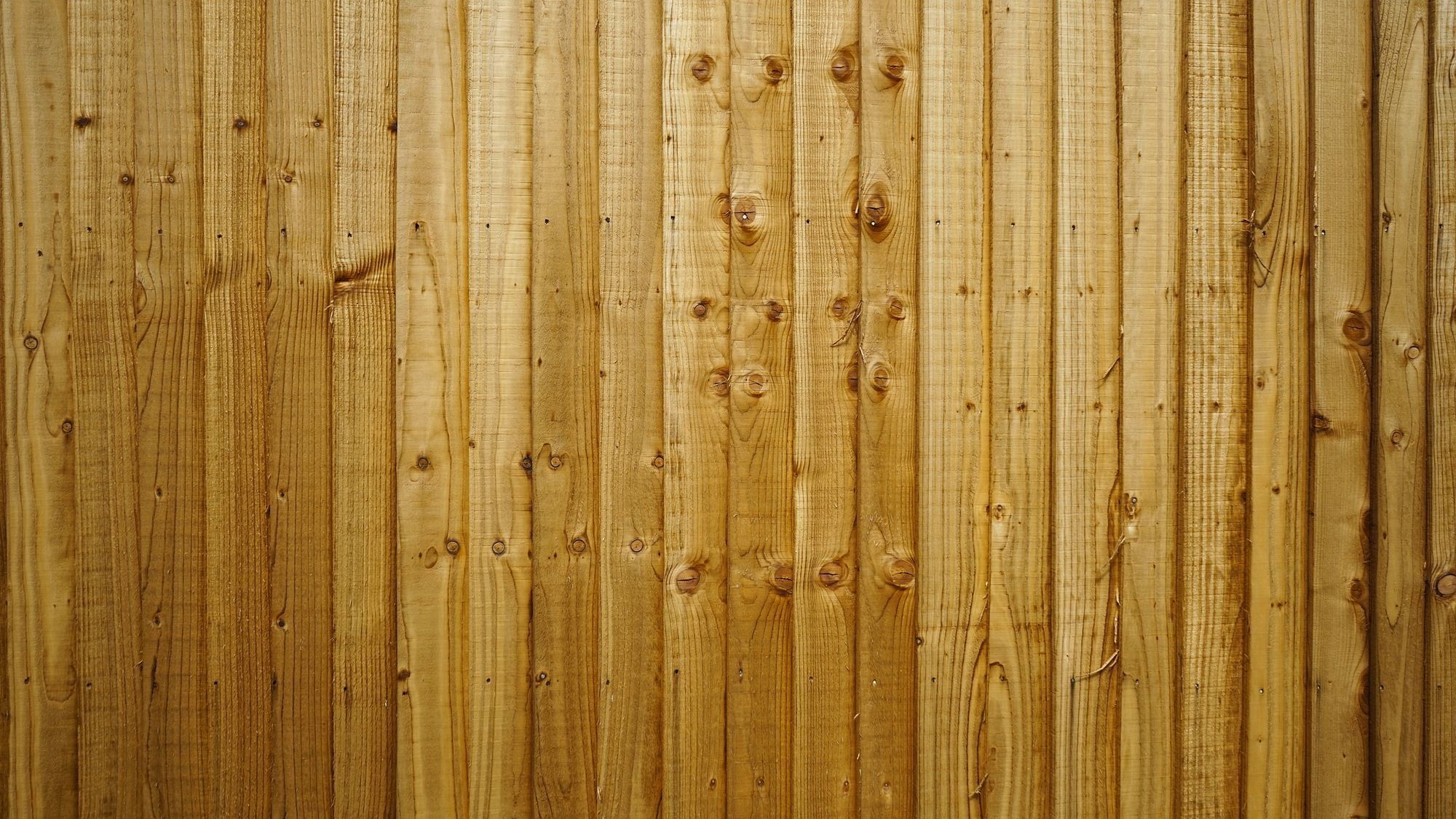 Close-up of new timber featheredge fence boards with visible wood grain and knots