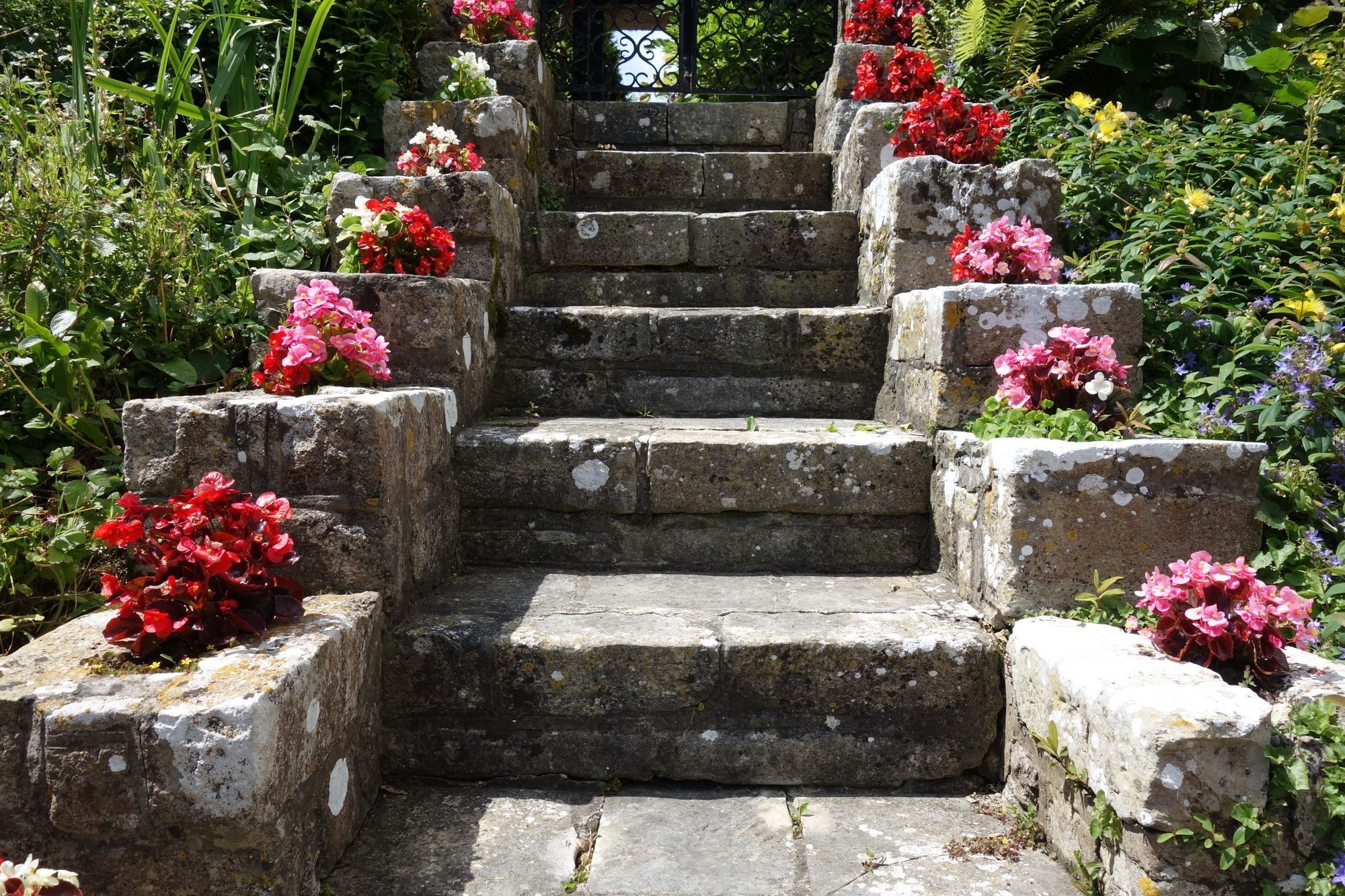 Weathered stone garden steps leading up to an iron gate, lined with planters of red and pink begonias
