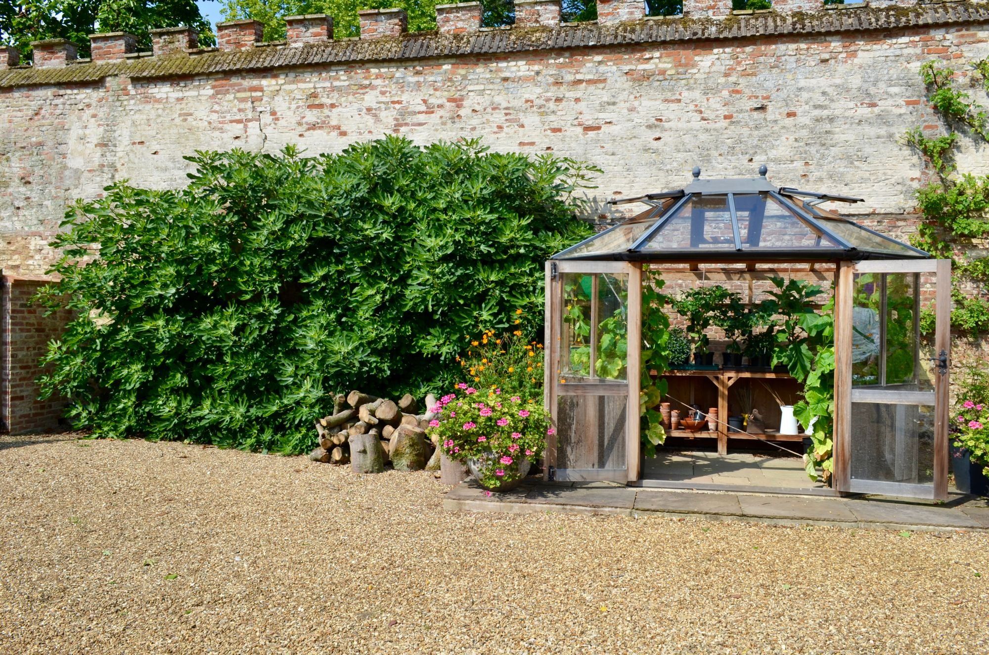A gravelled area in a walled garden with a glass greenhouse, potted flowers and a large leafy shrub against an old brick wall